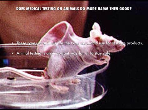 do neom test on animals.